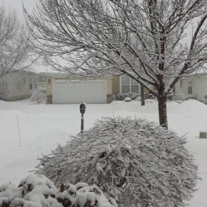Snow_again
