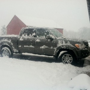 New whip for the week