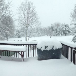 Winter wonderland.