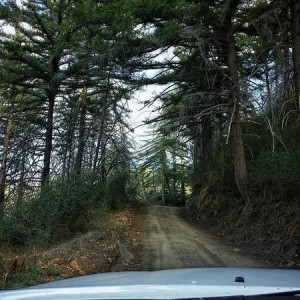 palomar_path