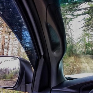 mirror_path