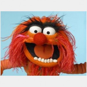 animal-muppet1