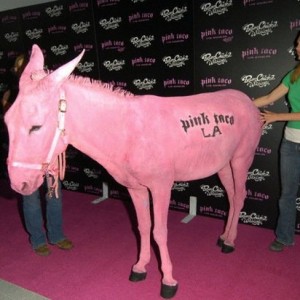 2011-06-15-9PinkTacoCorbisAxelKoesterCorbis