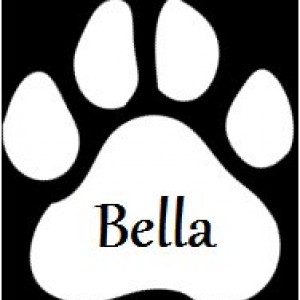 Bella_3