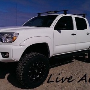 Sig_pic8