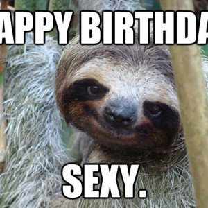 happy birthday moose