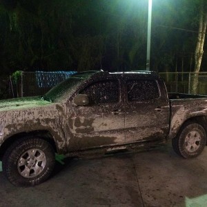 Taking out in the mud for the first time stock