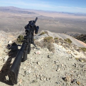 Open Desert Plinking