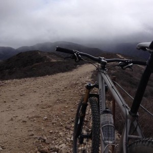 Steve Potts 29er