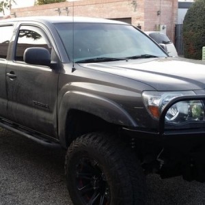 Jason's Brutus