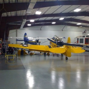 liveoju7Tt
