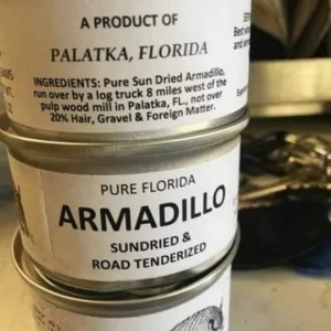 Armadillo