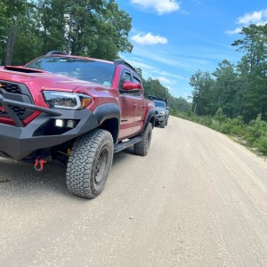 Pine Barrens fire road shot