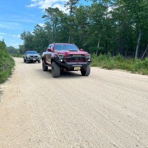 Pine Barrens Two Tacos