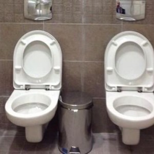 twin-toilet-twitter-Sochi-Olympics-viral-455463