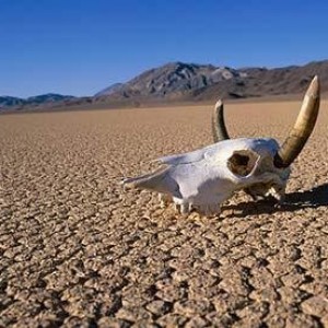 Death-Valley-010