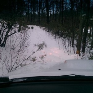 Deer stalking