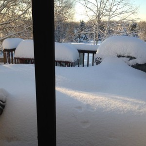 Me deck is almost gone.