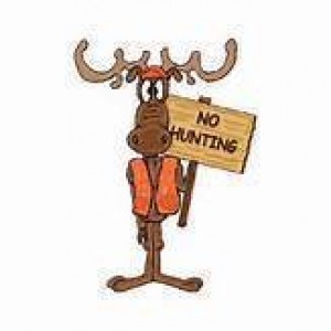 Moose hunting