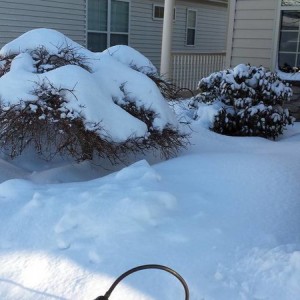 Snow-more4