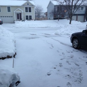 Enough snow to shut down all of the south :laugh: