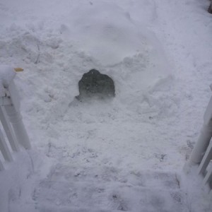 To do list: #1 build snow fort with daughter. Check.