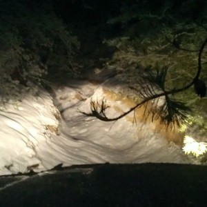 Snow: 1 Fender: 0 :)