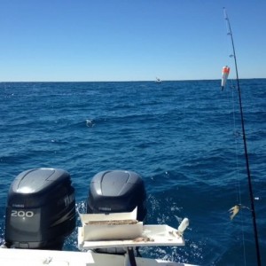 Getting some fishing in.