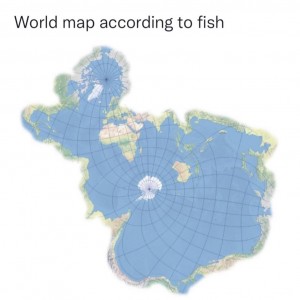 Fish Map