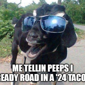 24tacogoat