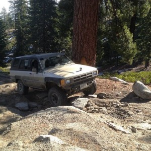 Bald Mountain, CA