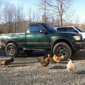 "Cecil" build 2000 Toyota taco