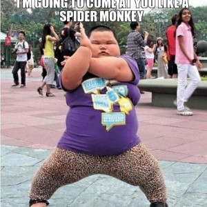 im-going-to-come-at-you-like-a-spider-monkey