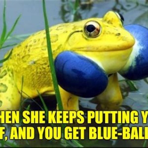 Frog Blue