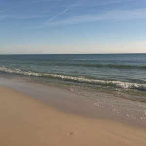 Out at the beach today.