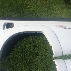 photo_2484