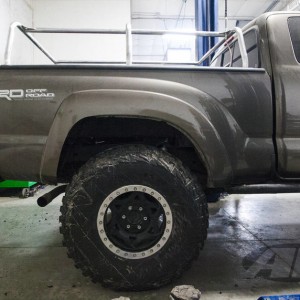 APex 1 "Brownie" Rear Fender Trim