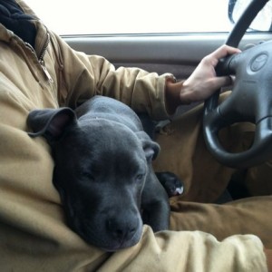 My riding buddy