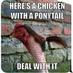 Chicken Ponytail