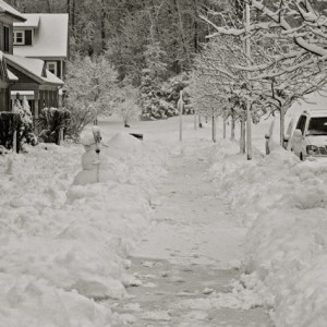 winter