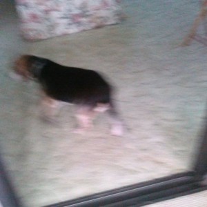 Sent from my Verizon Wireless 4G LTE Smartphone