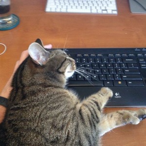 So helpful.
