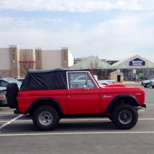 Cool bronco