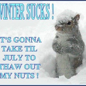 WinterSucks