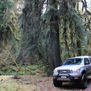 Olympic National Park