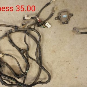 Rear Harness