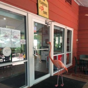 Flamingo-bar