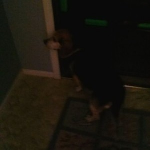 Sent from my Verizon Wireless 4G LTE Smartphone