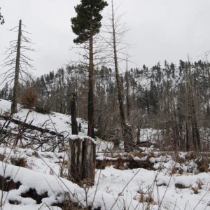 Big Bear 2