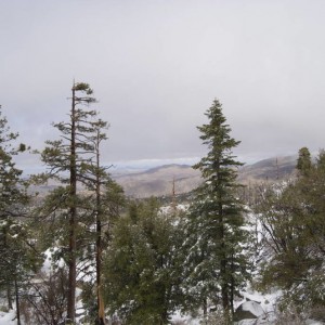 Big Bear 8